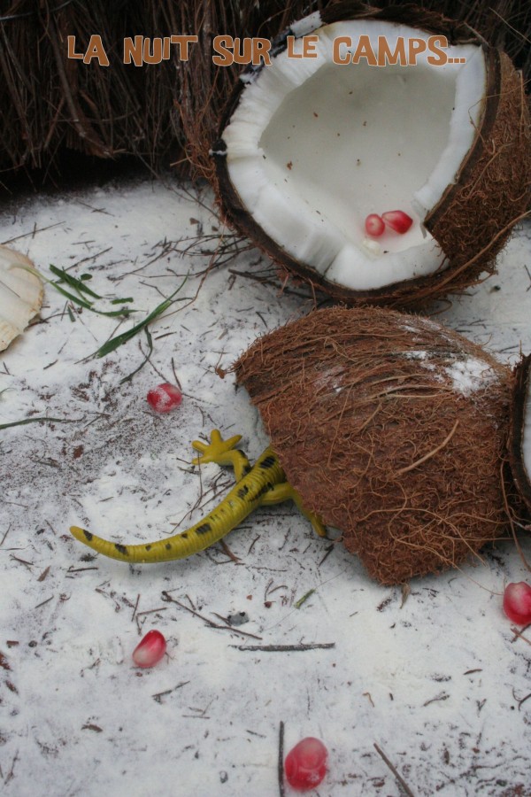 Riz au lait de coco Koh Lanta