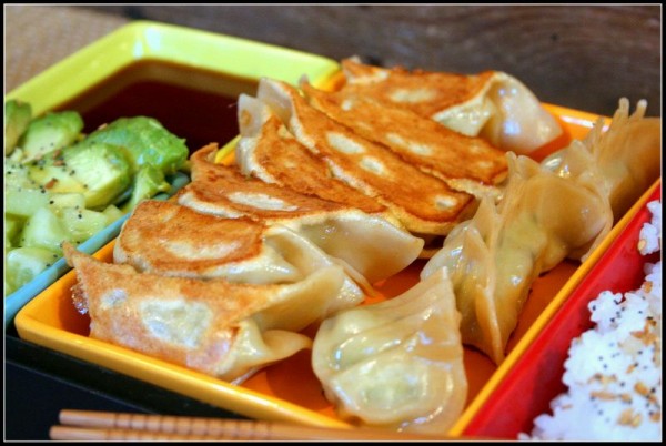 Gyozas grillés