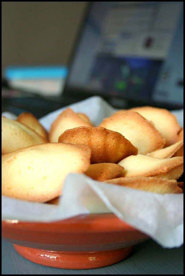 Madeleines pour le gouter