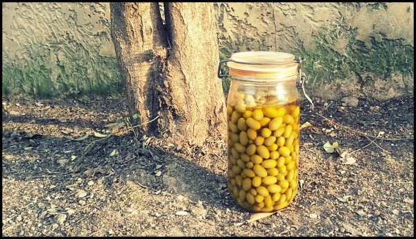 Olives préparées