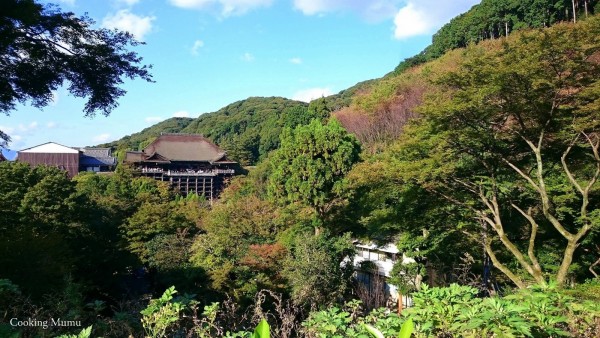 Vue sur le Kiyomizu Dera