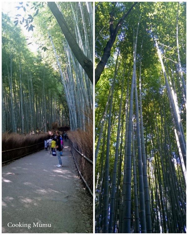 Arashiyama