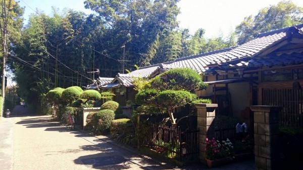 Dans Arashiyama