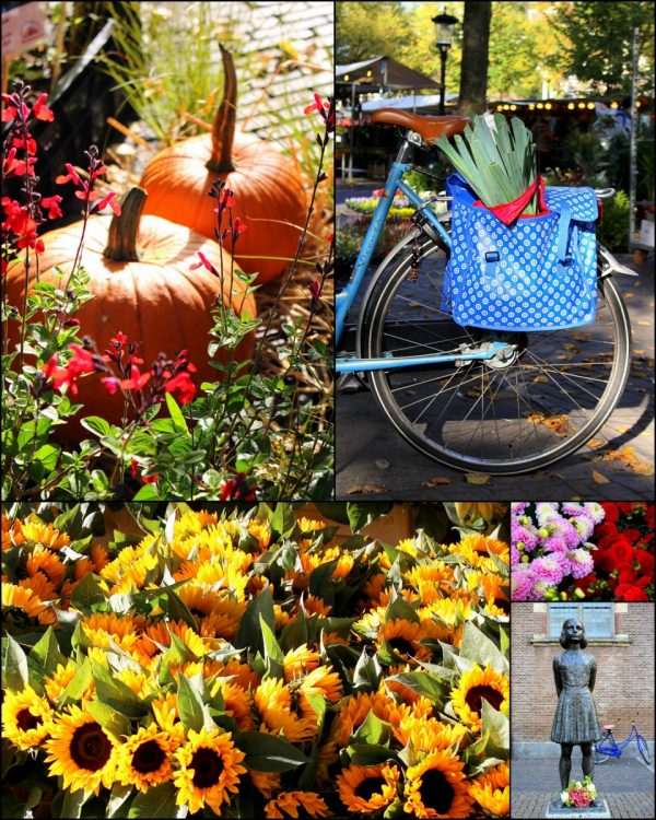 flower-market-utrecht-centrum