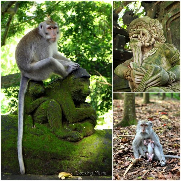 Monkey Forest